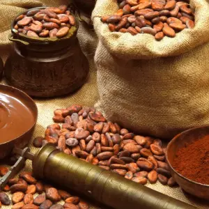 Explore Costa Rica: A World of Nature featuring Tortuguero National Park, Arenal Volcano & Manuel Antonio National Park (2025) for 12 days with Collette and discover unforgettable experiences - Photo 4