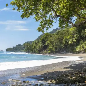 Explore Costa Rica: A World of Nature featuring Tortuguero National Park, Arenal Volcano & Manuel Antonio National Park (2025) for 12 days with Collette and discover unforgettable experiences - Photo 5