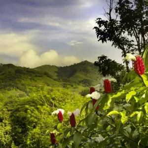 Explore Costa Rica: A World of Nature featuring Tortuguero National Park, Arenal Volcano & Manuel Antonio National Park (2025) for 12 days with Collette and discover unforgettable experiences - Photo 7