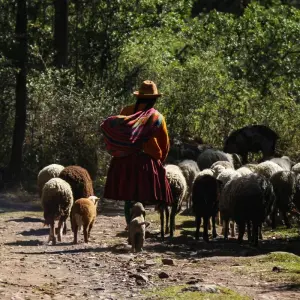 Explore Lares trek to Machu Picchu 4D/3N Tour for 4 days with CondeTravel and discover unforgettable experiences - Photo 2