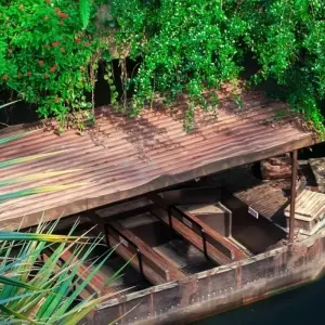 Explore Macaw clay lick and sandoval lake 5D/4N for 5 days with CondeTravel and discover unforgettable experiences - Photo 3