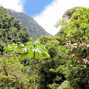 Explore Manu National Park 3D-2N Tour for 3 days with CondeTravel and discover unforgettable experiences - Photo 3