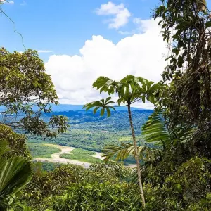 Explore Manu National Park 3D-2N Tour for 3 days with CondeTravel and discover unforgettable experiences - Photo 4