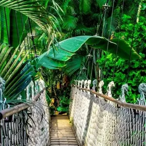 Explore Macaw clay lick and sandoval lake 5D/4N for 5 days with CondeTravel and discover unforgettable experiences - Photo 5