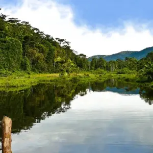 Explore Manu National Park 3D-2N Tour for 3 days with CondeTravel and discover unforgettable experiences - Photo 5