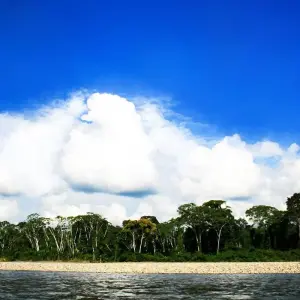 Explore Manu National Park 3D-2N Tour for 3 days with CondeTravel and discover unforgettable experiences - Photo 6