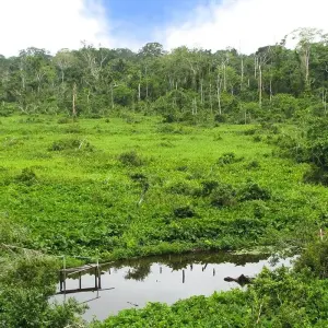 Explore Tambopata macaw clay lick 2D-1N for 2 days with CondeTravel and discover unforgettable experiences - Photo 2