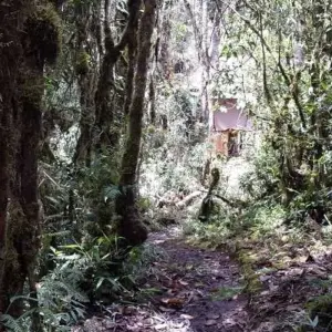 Explore Inca Jungle Trek to Machu Picchu visiting Inca jail and Coffee Tour (Biking, Rafting, Zipline) for 4 days with CondeTravel and discover unforgettable experiences - Photo 10