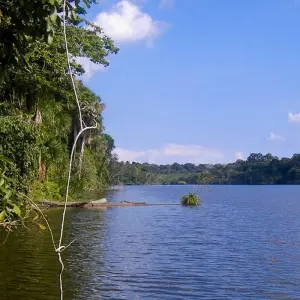 Explore Tambopata macaw clay lick 2D-1N for 2 days with CondeTravel and discover unforgettable experiences - Photo 3