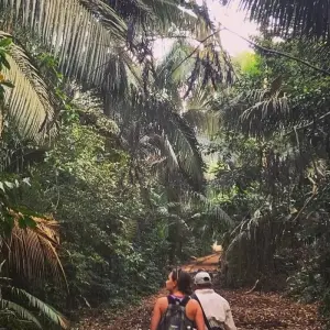 Explore Macaw clay lick and sandoval lake 5D/4N for 5 days with CondeTravel and discover unforgettable experiences - Photo 8