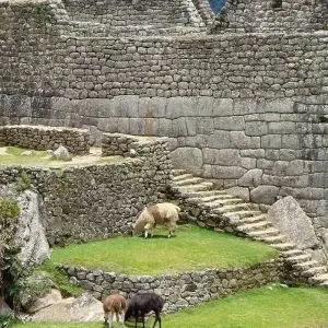 Explore Salkantay Trek Standard 5D/4N for 5 days with CondeTravel and discover unforgettable experiences - Photo 11