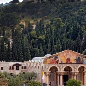 Explore Highlights of Israel & Jordan Tour - 11 days for 11 days with Consolidated Tour Operators and discover unforgettable experiences - Photo 4