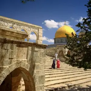 Explore Highlights of Israel - 8 days for 8 days with Consolidated Tour Operators and discover unforgettable experiences - Photo 3