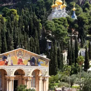 Explore Israel & Jordan City Break for 8 days with Consolidated Tour Operators and discover unforgettable experiences - Photo 5