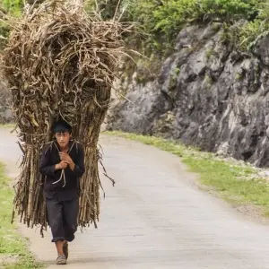 Explore Trekking In Ha Giang Tour 5 Days for 5 days with Conical Travel and discover unforgettable experiences - Photo 7