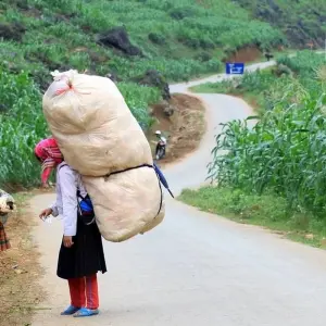 Explore Majesty Of Untouched North Of Vietnam Tour 6 Days - Private Tour for 6 days with Conical Travel and discover unforgettable experiences - Photo 6