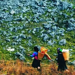 Explore Majesty Of Untouched North Of Vietnam Tour 6 Days - Private Tour for 6 days with Conical Travel and discover unforgettable experiences - Photo 9