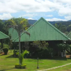 Explore Gabon: Gorillas and More, 5 Days for 5 days with Continent Tours and discover unforgettable experiences - Photo 2