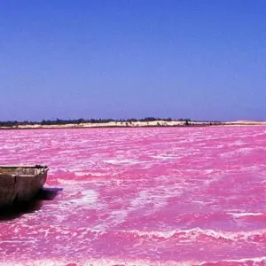 Explore Discover Senegal, 7 Days for 7 days with Continent Tours and discover unforgettable experiences - Photo 4