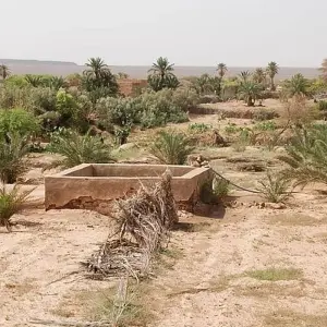 Explore Discover Mauritania, 6 Days for 6 days with Continent Tours and discover unforgettable experiences - Photo 3