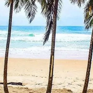 Explore Cultural & Historical Tour of Ivory Coast, 8 Days for 8 days with Continent Tours and discover unforgettable experiences - Photo 5