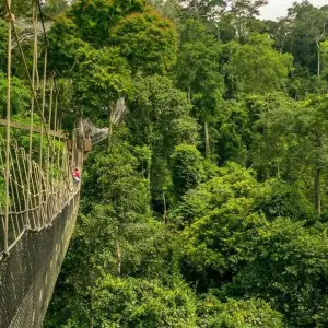 Explore Intro to Ghana, 3 Days for 3 days with Continent Tours and discover unforgettable experiences - Photo 4