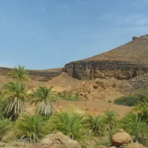 Explore Explore Mauritania – 8 days for 8 days with Continent Tours and discover unforgettable experiences - Photo 5