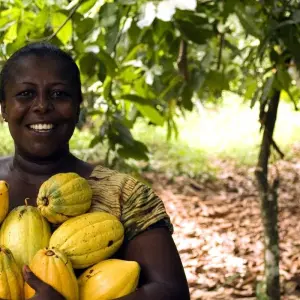Explore Ghana: Beach, History & Nature, 6 Days for 6 days with Continent Tours and discover unforgettable experiences - Photo 3