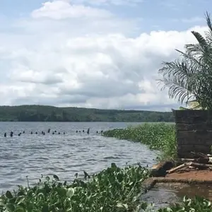 Explore Explore Cote D’Ivoire – 10 Days for 10 days with Continent Tours and discover unforgettable experiences - Photo 8