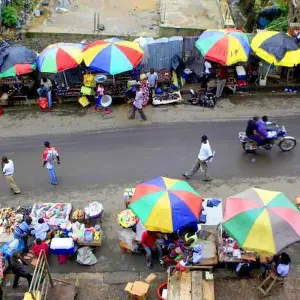 Explore Historic Liberia for 7 days with Continent Tours and discover unforgettable experiences - Photo 9