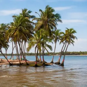 Explore Ghana: Beach, History & Nature, 6 Days for 6 days with Continent Tours and discover unforgettable experiences - Photo 6