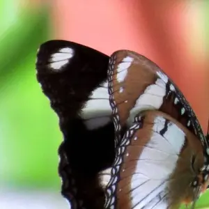 Explore Discover Senegal & Ghana - 11 Days for 11 days with Continent Tours and discover unforgettable experiences - Photo 5