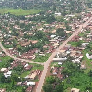 Explore Gabon: Gorillas and More, 5 Days for 5 days with Continent Tours and discover unforgettable experiences - Photo 9