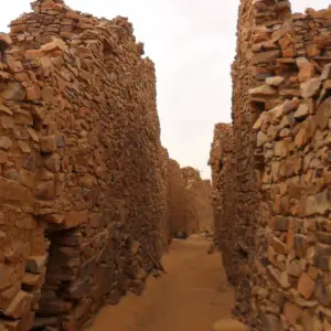 Explore Discover Mauritania, 6 Days for 6 days with Continent Tours and discover unforgettable experiences - Photo 10