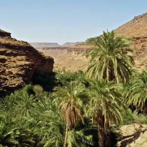 Explore Explore Mauritania – 8 days for 8 days with Continent Tours and discover unforgettable experiences - Photo 9
