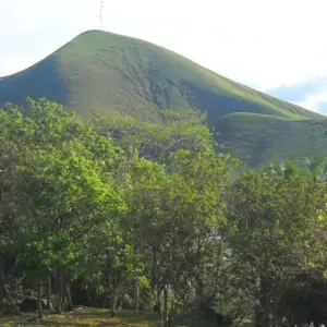 Explore Gabon: Gorillas and More, 5 Days for 5 days with Continent Tours and discover unforgettable experiences - Photo 10