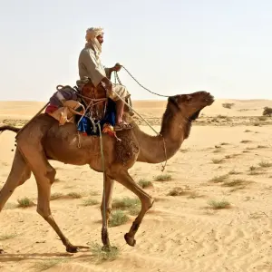 Explore Explore Mauritania – 8 days for 8 days with Continent Tours and discover unforgettable experiences - Photo 11