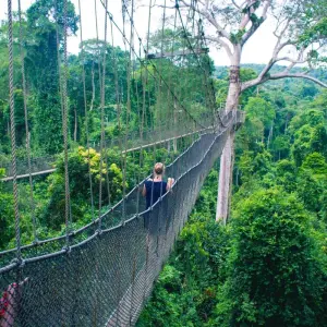 Explore Discover Senegal & Ghana - 11 Days for 11 days with Continent Tours and discover unforgettable experiences - Photo 8