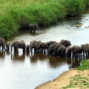 Explore Cultural Tour of Ghana & South Africa, 12 Days for 12 days with Continent Tours and discover unforgettable experiences - Photo 4