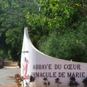 Explore Keur Moussa, Kayar, Tortoise Village, Pink Lake, 1 Day for 1 days with Continent Tours and discover unforgettable experiences - Photo 3