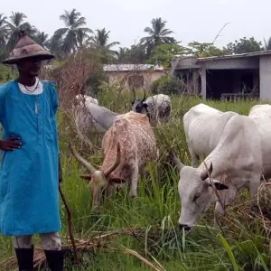 Explore The Best of Ghana - 12 Days for 12 days with Continent Tours and discover unforgettable experiences - Photo 7