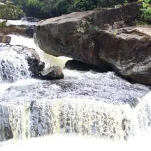 Explore Cultural and Historical Tour of Liberia and Sierra Leone for 13 days with Continent Tours and discover unforgettable experiences - Photo 6