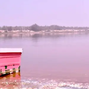 Explore Keur Moussa, Kayar, Tortoise Village, Pink Lake, 1 Day for 1 days with Continent Tours and discover unforgettable experiences - Photo 6