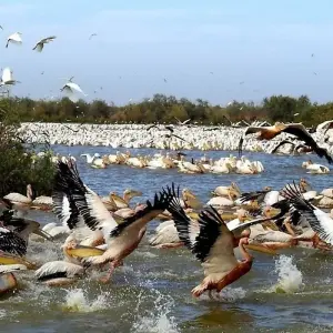 Explore Saint Louis Jazz Festival, 8 days (May 14 to 21, 2024) for 8 days with Continent Tours and discover unforgettable experiences - Photo 3