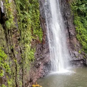 Explore Experience São Tomé & Príncipe – 8 Days for 8 days with Continent Tours and discover unforgettable experiences - Photo 9