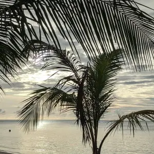 Explore Island Hopping North Male' Atoll - Male' to Huraa and Dhiffushi for 8 days with Corallium Tours and discover unforgettable experiences - Photo 2