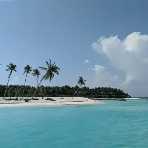 Explore Island Hopping North Male' Atoll - Male' to Huraa and Dhiffushi for 8 days with Corallium Tours and discover unforgettable experiences - Photo 3