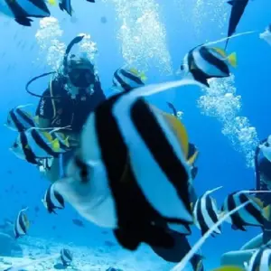 Explore Maldives Adventure of Your Life! for 8 days with Corallium Tours and discover unforgettable experiences - Photo 5