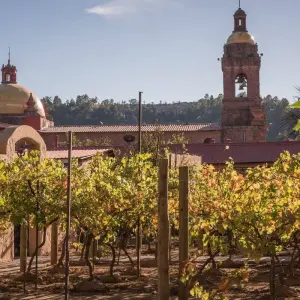 Explore Escorted Group Tour: Phoenix AZ & Copper Canyon Mexico Train Tour for 9 days with Copper Canyon Mexico Specialists, LLC and discover unforgettable experiences - Photo 9