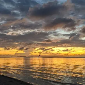 Explore Island Hopping North Male' Atoll - Male' to Huraa and Dhiffushi for 8 days with Corallium Tours and discover unforgettable experiences - Photo 5